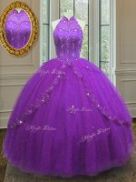 Luxury Ball Gowns Quince Ball Gowns Purple High-neck Tulle Sleeveless Floor Length Lace Up