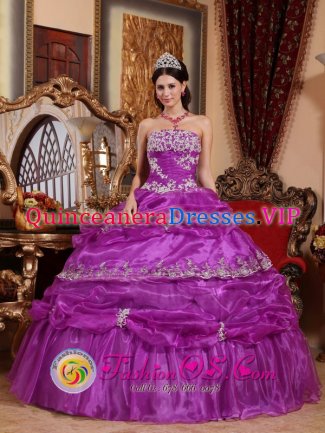 Fashionable Fuchsia Quinceanera Dress For Strapless Organza With Appliques And Ruffles Ball Gown in Lake Village Arkansas/AR