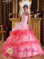 Stunning One Shoulder Strapless Lace up Romantic Craig Colorado/CO Quinceanera Dress Appliques with Beading Organza Ball Gown