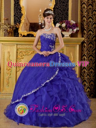 White Salmon Washington/WA Exclusive Appliques Decorate Bule Strapless Quinceanera Dress In Florida