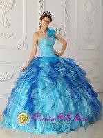 Aqua Blue One Shoulder Discount Sabana Yegua Dominican Republic Quinceanera Dress Beaded Bodice Satin and Organza Ball Gown(SKU QDZY329y-7BIZ)