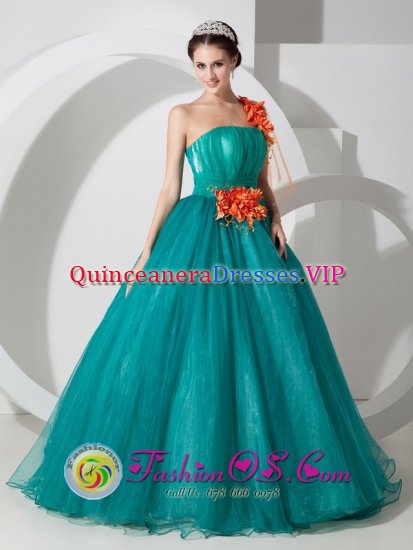 Fairfield Alabama/AL One Shoulder Organza Quinceanera Dress With Hand Made Flowers Custom Made - Click Image to Close