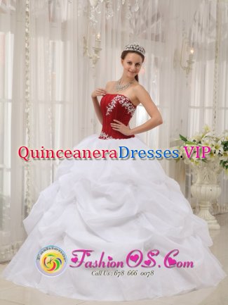 Geneva Nebraska/NE White and Wine Red Appliques Stylish Quinceanera Dress With Strapless Pick-ups