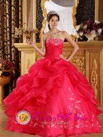 Princess Strapless Embeoidery Decorate La Mata Dominican Republic New Arrival Coral Red Sweet 16 Quinceanera Dress(SKU QDZY043y-2BIZ)