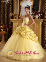 Yarm Cleveland Custom Made Modest Beaded Decorate Yellow Quinceanera Dress With Hand Made Flowers And Pick-ups