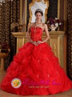 Aberdeen South Dakota/SD Red Pick-ups and Appliques Strapless Quinceanera Dress With Tulle Skirt For Sweet 16(SKU QDZY139J3BIZ)