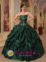 Dade City Florida/FL Custom Made Latest Hunter strapless Green Quinceanera Dress