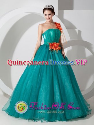 Kent Ohio/OH One Shoulder Organza Quinceanera Dress With Hand Made Flowers Custom Made