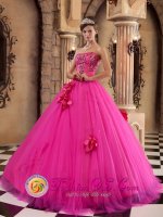 Canton Ohio/OH Luxurious Strapless Hot Pink Quinceanera Dress With Flowers And Appliques Decorate On Tulle