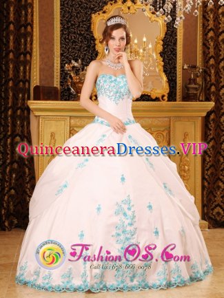 Chestnut Hill Massachusetts/MA Exquisite Appliques Over Skirt For Sweetheart Quinceaners Dress White Ball gown