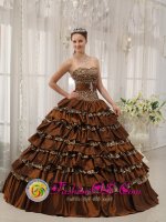 Modest Brown Killearn Central Quinceanera Dress In Georgia Sweetheart Taffeta and Leopard or zebra Ruffles Ball Gown(SKU QDZY373y-6BIZ)