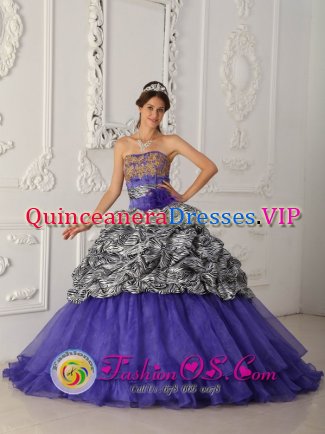 Cannon Falls Minnesota/MN Brand New Custom Made Zebra and Organza Purple Quinceanera Dress For Strapless Chapel Train Ball Gown