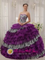 Arona Spain Zebra and Purple Organza With shiny Beading Affordable Quinceanera Dress Sweetheart Ball Gown