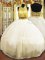 Halter Top Sleeveless Tulle Quinceanera Dresses Beading Zipper