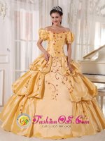 The Shoulder and Short Sleeves Yellow Quinceanera Dress With Embroidery and Pick-ups