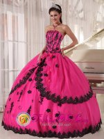 Pascagoula Mississippi/MS Perfect Organza and Taffeta Appliques Decorate Bodice Hot Pink Quinceanera Dress For Strapless Ball Gown(SKU PDZY498-CBIZ)