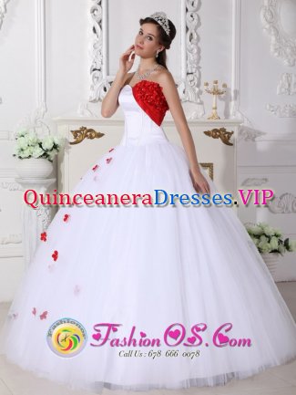 White and Red Sweetheart Neckline Quinceanera Dress With Hand Made Flowers Decorate In Strand South Africa