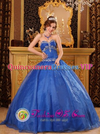 Dakota Dunes South Dakota/SD Affordable Blue Quinceanera Dress with Appliques For Sweetheart Organza Ball Gown