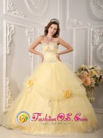 Hill City South Dakota/SD Beautiful Organza Light Yellow Sweetheart Quinceanera Dress With Appliques and Hand Made Flowers(SKU QDZY129J6BIZ)