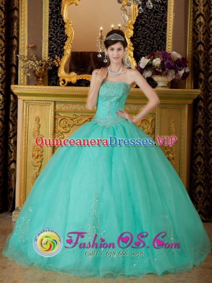 AffordableTurquoise Strapless Organza Beading Ball Gown Quinceanera Dress In North Bay OntarioON - Click Image to Close