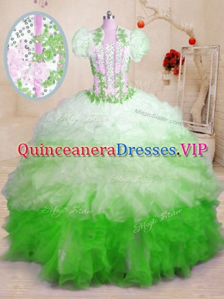 With Train Multi-color Quinceanera Gowns Organza Brush Train Sleeveless Beading and Appliques and Ruffles