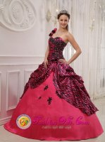 One Shoulder Hand Zebra Made Flowers Zephyr Cove Nevada/NV Sweet 16 Dress Coral Red For Gaduation