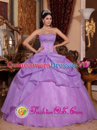 Parker CO Remarkable Lavender Beading Pick-ups Quinceanera Dress With Strapless Organza Ball Gown