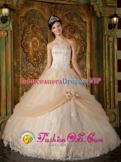 Hand Made Flower and Appliques Decorate Strapless Bodice Champagne Ball Gown Quinceanera Dress For La Romana Dominican Republic - Click Image to Close