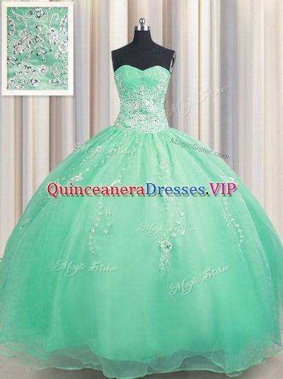 Zipper Up Sleeveless Beading and Appliques Zipper Quinceanera Gown - Click Image to Close