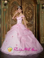 Pickering OntarioON Romantic Pink Off The Shoulder Organza Quinceanera Dress With Colorful Flowers