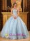 Wheeling Romantic Baby Blue Quinceanera Dress Strapless Organza Exquisite Beading Appliques Ball Gown In Gardner Kansas/KS