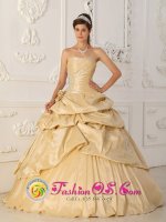 Chinook Montana/MT A-Line / Princess Champagne Pick-ups Beading and Hand Made Flowers Strapless Quinceanera Dress