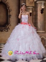 Kearney Nebraska/NE Brand New White Quinceanera Dress For Strapless Organza Embroidery And Sash Decorate Up Bodice Ruffles Ball Gown(SKU QDZY172-HBIZ)