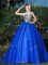 Scoop Sleeveless Organza Sweet 16 Dress Appliques and Belt Brush Train Zipper