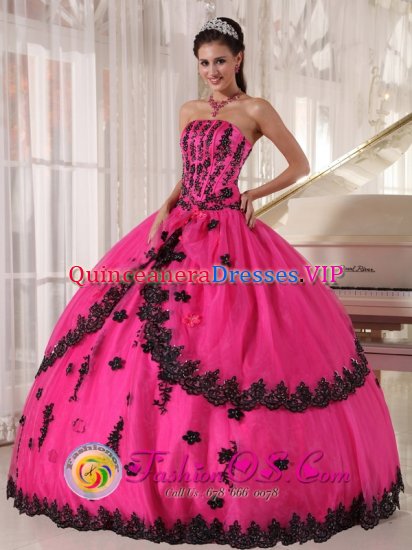 Bartlett Tennessee/TN Perfect Organza and Taffeta Appliques Decorate Bodice Hot Pink Quinceanera Dress For Strapless Ball Gown - Click Image to Close