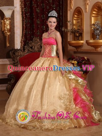 El Monte Chile Gorgeous Embroidery Decorate Bodice Champagne Ball Gown Quinceanera Dress For Organza and Floor-length