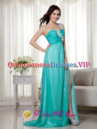 Clorinda Argentina Turquoise Empire One Shoulder Brush Train Quinceanera Dama Dress Silk Like Satin and Chiffon Appliques