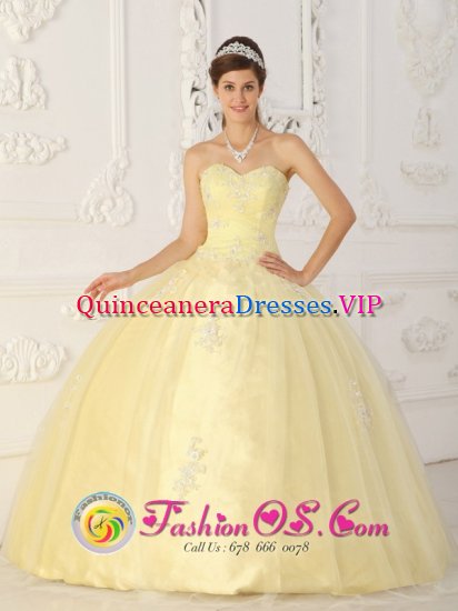 Fashionable Light Yellow Sweet 16 Quinceanera Dress With Sweetheart Ruched Bodice Organza Appliques In Delavan Wisconsin/WI - Click Image to Close