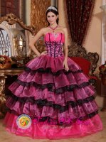 Port Aransas Texas/TX Brand New Multi-color Quinceanera Dress For Sweetheart Organza Ruffles Gorgeous Ball Gown