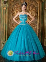 Allen TX Brand New Teal and Sweetheart Beading and Exquisite Appliques Bodice Paillette Over Skirt For Quinceanera