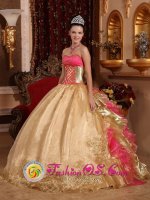 Gorgeous Embroidery Decorate Bodice Champagne Ball Gown Quinceanera Dress For Yuma AZ Organza and Floor-length(SKU QDZY429y-1BIZ)