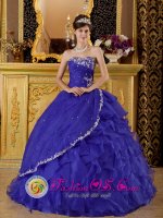 Exclusive Appliques Decorate Bule Strapless Quinceanera Dress In Wa Keeney Kansas/KS