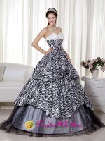 Rutland Vermont/VT Wonderful Beading and Ruch Quinceanera Dress Luxurious A-line / Princess Sweetheart Floor-length Zebra and Organza(SKU MLXN105-IBIZ)