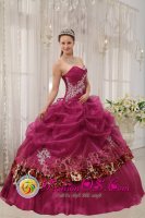 Popular Burgundy Scottsdale AZ Quinceanera Dress For Military Ball Sweetheart Organza and Leopard or zebra Appliques Ball Gown(SKU QDZY398y-1BIZ)