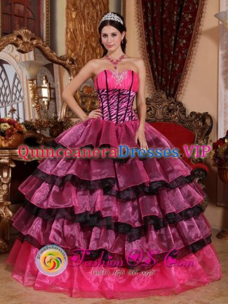 Montigny-le-Bretonneux France Brand New Multi-color Quinceanera Dress For Sweetheart Organza Ruffles Gorgeous Ball Gown