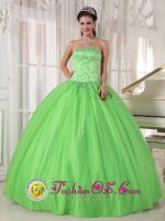 Los Patios colombia Spring Green Appliques Decorate Quinceanera Dress With Strapless Taffeta and Tulle Ball Gown