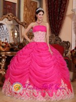 Albox Spain Beaded Decorate Bodice Lovely Hot Pink Sweet Christmas Party Dress Strapless Organza Ball Gown