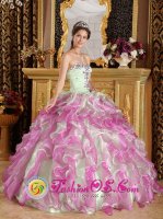 Latest Fuchsia and Apple Green Organza With Appliques Floor-length Milnerton South Africa Quinceanera Dress Sweetheart Ball Gown