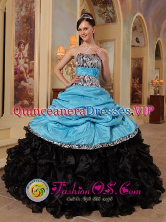 Aque Blue and Black Zebra Ruffles and Sash Littleton Colorado/CO Safford strapless Quinceanera Dresses With Pick-ups For Graduation