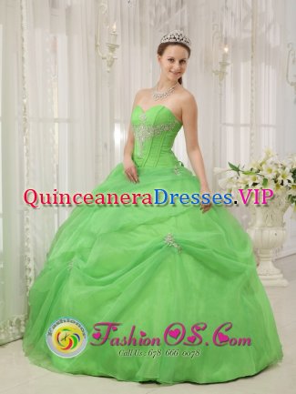 Barrie Ontario/ON Quinceanera Dress For Quinceanera With Spring Green Sweetheart neckline Floor-length